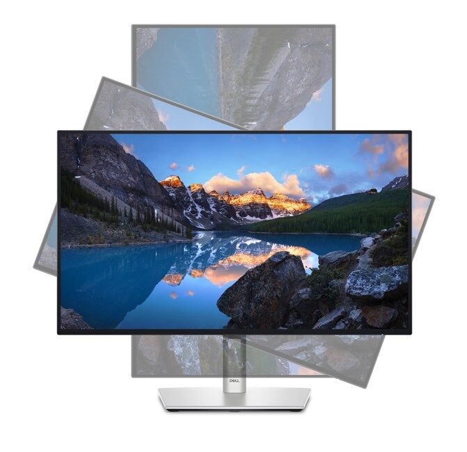 Dell Ultrasharp U2424HE 23.8'' 5m Type-C Pivot IPS