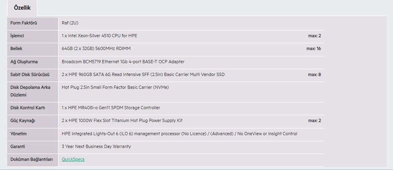 HPE DL380 Gen11 Silver 4510-64G-2x960G-2U (P71674)